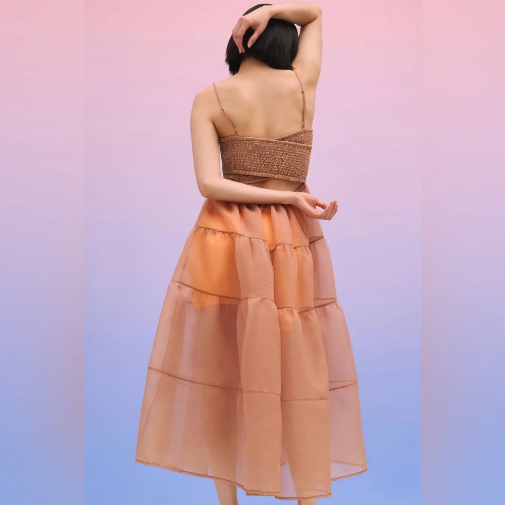 NWT Anthropologie oh seven days Lucille tiered sheer dress midi size xs organza - Picture 2 of 3